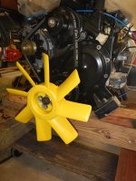 Yellow Fan.jpg