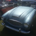 IMG_0369.jpg
