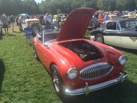 IMG_0392.jpg