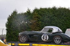 DSC_8406.jpg