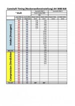 Cam shaft timing Nockenwelleneinstellung AH 3000  2.jpg