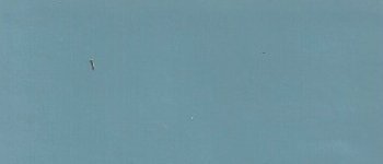 Speedwell Blue.jpg Speedwell Blue.jpg
