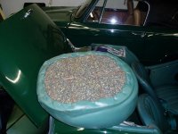 P1010268.jpg P1010268.jpg