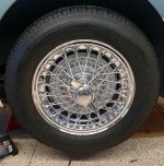 IMG_20161112_071212.jpg