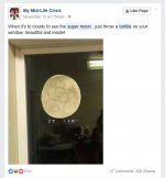 tortilla super moon.JPG