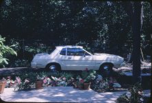 IMG_0005.jpg IMG_0005.jpg