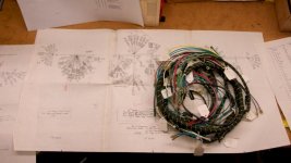 Print and Harness.jpg Print and Harness.jpg