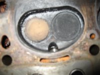 Head 2.jpg Head 2.jpg
