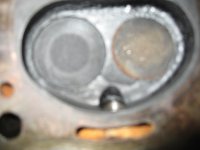 Head 3.jpg Head 3.jpg