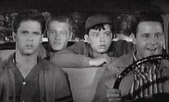 image.jpeg image.jpeg