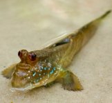 image.jpeg image.jpeg