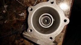 fuel pump seal 2.jpg fuel pump seal 2.jpg