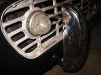 IMG_6500.jpg