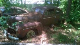 WP_20160508_001.jpg
