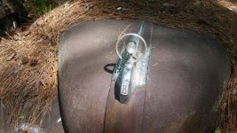 Ford Hood ornament 2..jpg