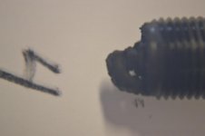 DSC_0018.jpg
