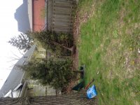 IMG_1311.JPG IMG_1311.JPG