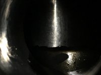 IMG_2097.jpg