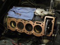 Stag Copper Gaskets.jpg