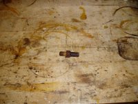 P1010301.jpg P1010301.jpg