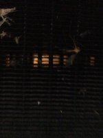 IMG_0277.jpg