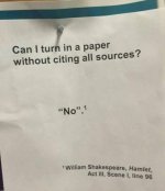 FB_IMG_1500158219169.jpg