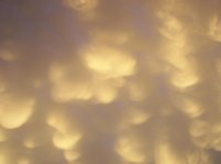 100_0417.jpg 100_0417.jpg