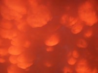 100_0425.jpg 100_0425.jpg