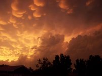 100_0423.jpg 100_0423.jpg