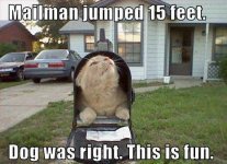 mailcat.jpg mailcat.jpg