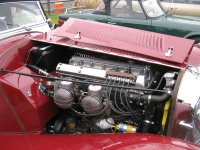 IMG_1599.jpg