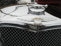 IMG_1600.jpg