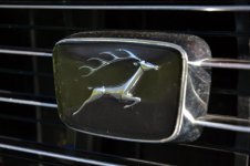 Stag Grill Badge.jpg Stag Grill Badge.jpg