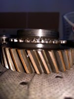 2nd Good Dog Teeth_20180226_191035.jpg 2nd Good Dog Teeth_20180226_191035.jpg