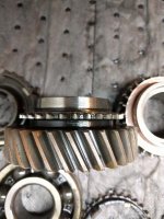 2nd_Angled Dog Teeth_20180303_224828.jpg 2nd_Angled Dog Teeth_20180303_224828.jpg