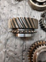 3rd_Good Dog Teeth_20180303_224846.jpg 3rd_Good Dog Teeth_20180303_224846.jpg