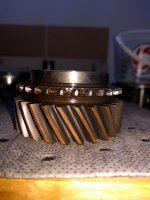 3rd_Angled Dog Teeth_20180226_191049.jpg 3rd_Angled Dog Teeth_20180226_191049.jpg