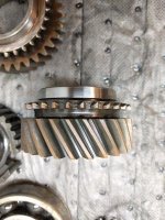 3rd_Angled Dog Teeth_2_IMG_20180303_224907.jpg 3rd_Angled Dog Teeth_2_IMG_20180303_224907.jpg