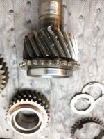 Top_Good Dog Teeth_20180303_224937.jpg Top_Good Dog Teeth_20180303_224937.jpg