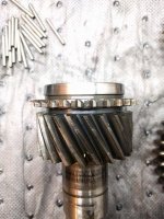 Top_Angled Dog Teeth_20180303_203145.jpg Top_Angled Dog Teeth_20180303_203145.jpg