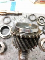 Top_Angled Dog Teeth_2_20180303_225029.jpg Top_Angled Dog Teeth_2_20180303_225029.jpg