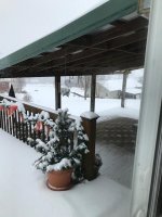 IMG_0309.jpg