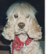 howard.jpg