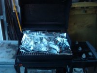 4920-bbq.jpg