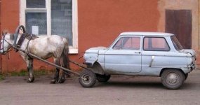 4929-donkeycar.jpg