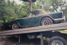 5193-TR250_3.jpg