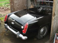 5289-shiny1.JPG