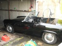 5290-shiny2.JPG
