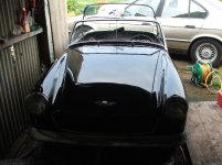 5293-shiny5.JPG