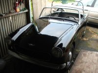 5294-shiny6.JPG